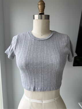Brandy Melville Ribbed Short-Sleeve Crop Top